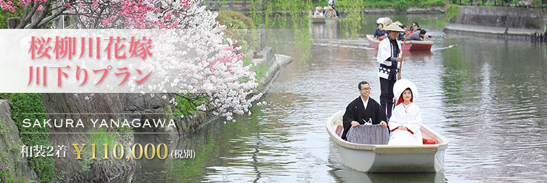 桜,柳川川下り,前撮り