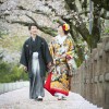 熊本 熊本城 桜 前撮り 和装 色打掛 白無垢 格安 データ