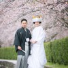 熊本 熊本城 桜 前撮り 和装 色打掛 白無垢 格安 データ