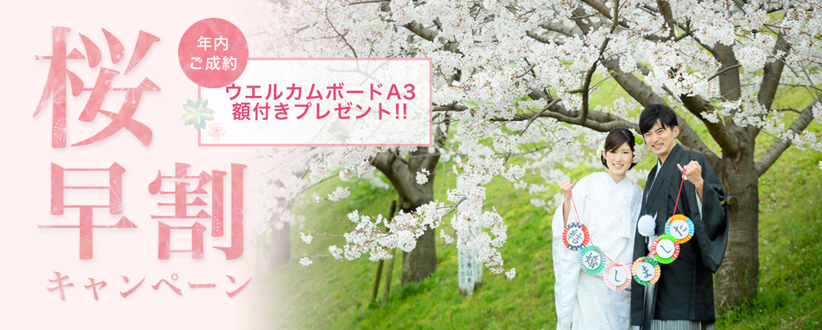 桜キャンペーン スタジオフィール 福岡 熊本 鹿児島