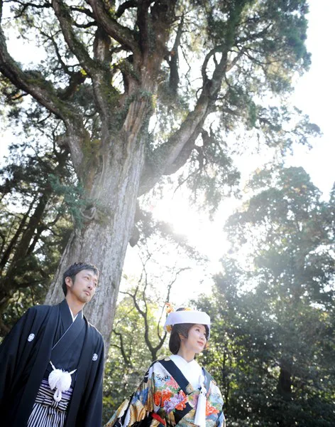 霧島神宮 神社挙式和婚プラン 前撮り ブライダル撮影専門スタジオフィール