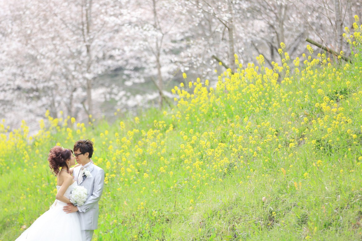 福岡 桜前撮りプラン