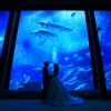 福岡・水族館