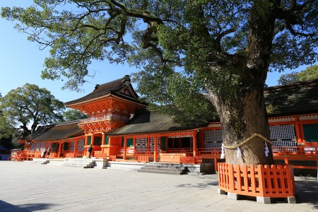 【大分】宇佐神宮 | studio feel