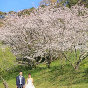 福岡の前撮りを海で ドレス撮影 前撮り ブライダル撮影専門スタジオフィール