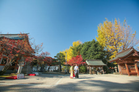 【福岡】紅葉八幡宮 | studio feel