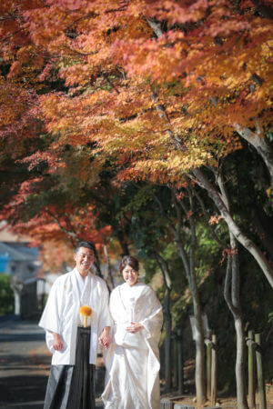 【福岡】紅葉八幡宮 | studio feel