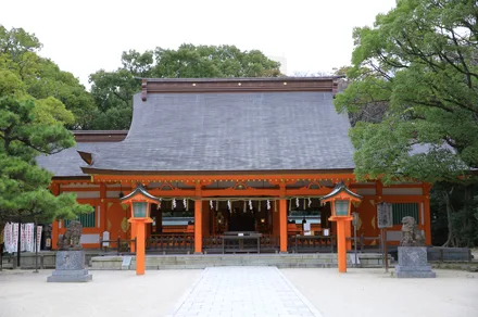 九州 山口神社結婚式 人気の神社挙式 衣装レンタル 和装婚 撮影特集 前撮り ブライダル撮影専門スタジオフィール