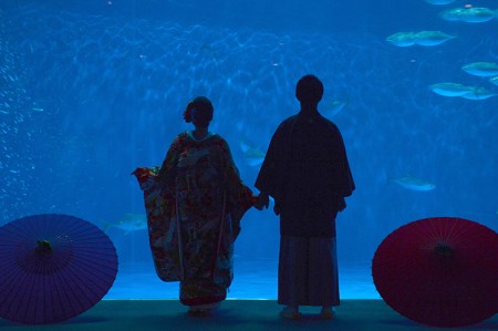 【鹿児島】いおワールドかごしま水族館 | studio feel