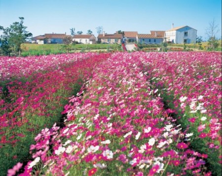 【長崎】あぐりの丘 | studio feel