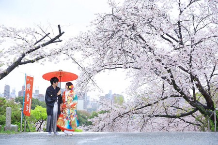 【福岡】西公園 | studio feel