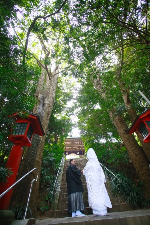 【福岡】宗像市 大島 | studio feel