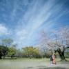 熊本 熊本城 桜 前撮り 和装 色打掛 白無垢 格安 データ