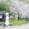 熊本 熊本城 桜 前撮り 和装 色打掛 白無垢 格安 データ