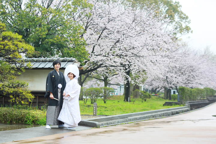 熊本 熊本城 桜 前撮り 和装 色打掛 白無垢 格安 データ