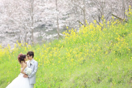 【熊本】立田山憩いの森 | studio feel