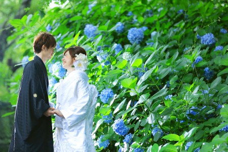 【福岡】舞鶴公園 | studio feel