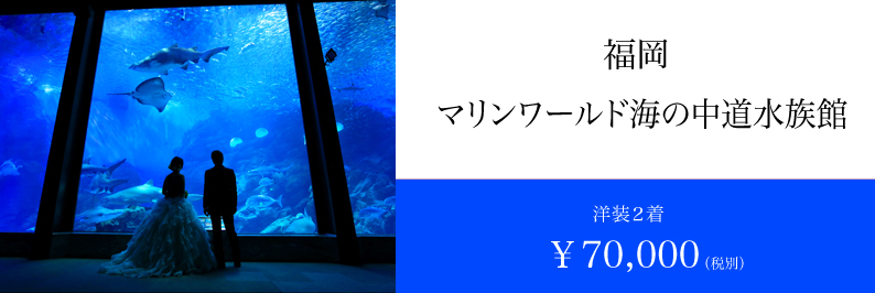 水族館で前撮り 福岡で叶えます 前撮り ブライダル撮影専門スタジオフィール