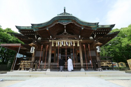 【佐賀】唐津神社 | studio feel