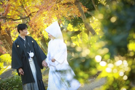 【鹿児島】玉里邸庭園 | studio feel