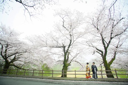 桜プラン早割キャンペーン２０１８-前撮り　スタジオフィール　熊本　熊本城