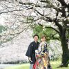 鹿児島 桜前撮り 和装 吉野公園 スタジオフィール