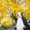 紅葉 熊本城 和装 前撮り スタジオフィール