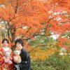 紅葉 福岡 日本庭園 スタジオフィール