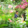 福岡 植物園 ドレス 前撮り スタジオフィール