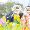 福岡 寒緋桜 早咲き 桜 スタジオフィール 和装 前撮り