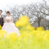 海の中道 菜の花 ドレス 前撮り 結婚式 スタジオフィール 花畑