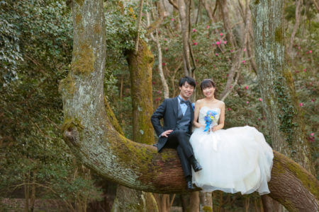 【熊本】立田山憩いの森 | studio feel