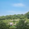 福岡 大濠日本庭園 和装 色打掛 スタジオフィール