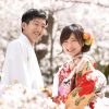 桜 前撮り