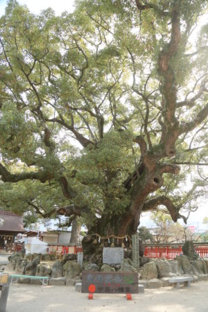 【福岡】宇美八幡宮 | studio feel