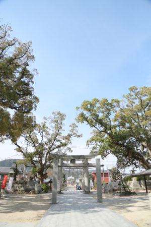 【福岡】宇美八幡宮 | studio feel