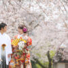 水前寺公園 桜 スタジオフィール