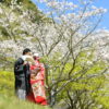 岩屋公園 桜和装前撮り