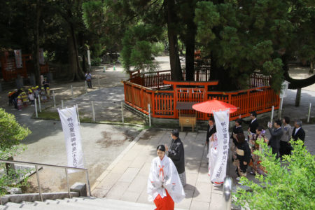 【福岡】香椎宮 | studio feel