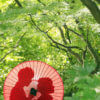 前撮り 福岡 松風園 和装