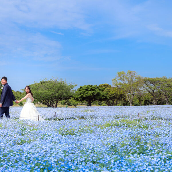 福岡,和装,洋装,前撮り,結婚式当日,,海ノ中道海浜公園