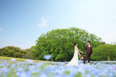【福岡】海の中道海浜公園ドレス前撮り-ライトプラン | 前撮り・フォトウェディング・ブライダル撮影専門スタジオフィール