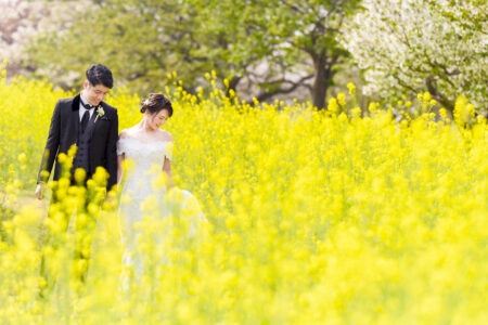 【福岡】海の中道海浜公園ドレス前撮り-ライトプラン | 前撮り・フォトウェディング・ブライダル撮影専門スタジオフィール