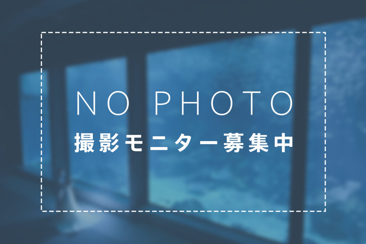 いおワールドドレス前撮りプラン